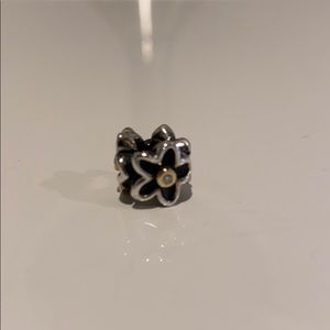 Pandora charm